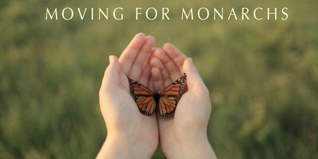 Moving for Monarchs Video Image: http://vimeo.com/82450284