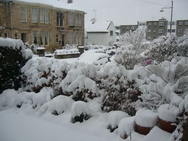 Garden in snow. Photo courtesy https://www.flickr.com/photos/jtadams/111304981/
