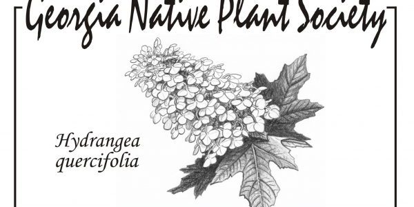 Photo courtesy of Georgia Native Plant Society