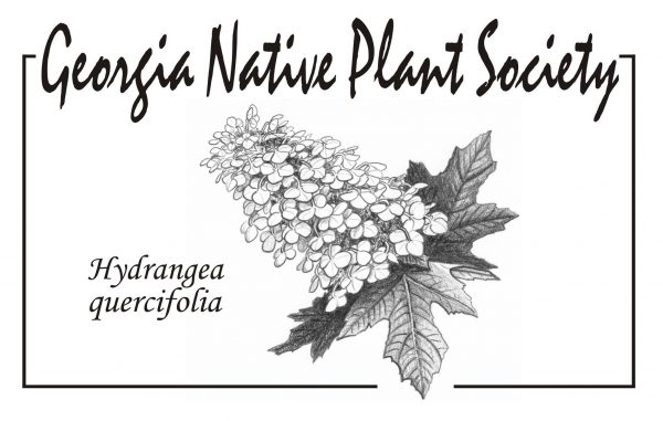 Photo courtesy of Georgia Native Plant Society