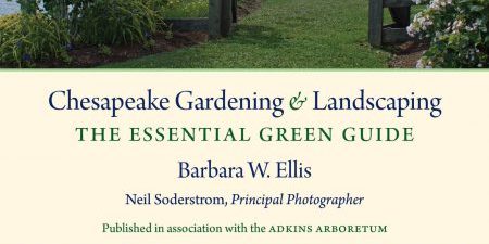 Chesapeake Gardening & Landscaping: The Essential Green Guide
