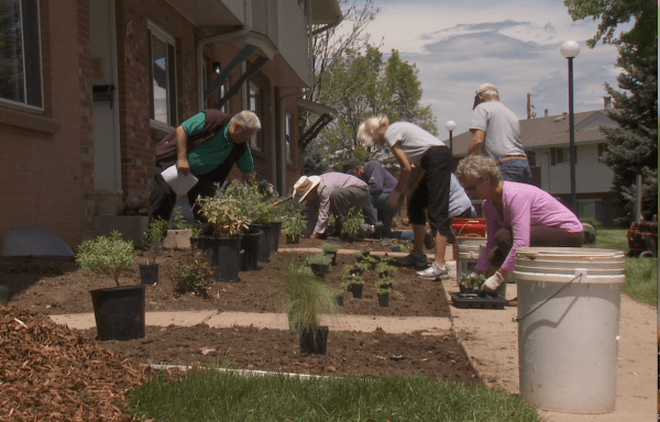 Photo courtesy of Hometown Habitat.