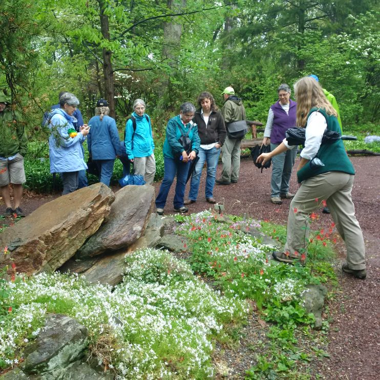 Participants learned about the importance of sustainable landscapes and how professionals can implement them in their landscapes.