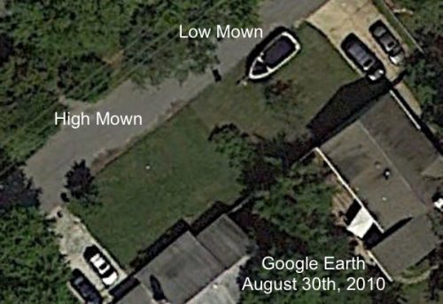 high and low mow lawn comparison
