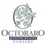 octoraro native plant nursery