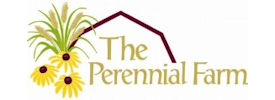 the perennial farm