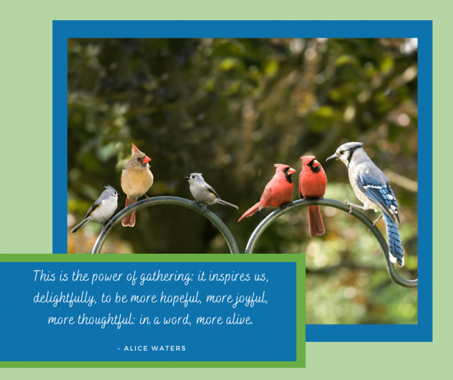 Photo of assorted birds gathering with quote