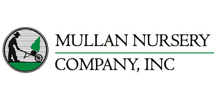 mullan nursery company