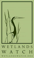 wetland watch