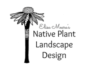 Native Plant LTD