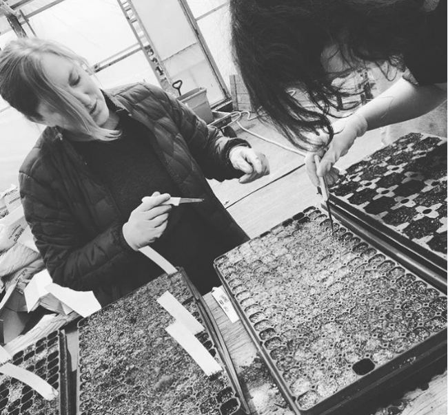 black and white photo of Kim demonstrating planting