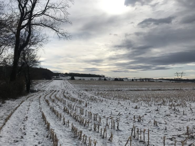 Farmland in the winter with light snow