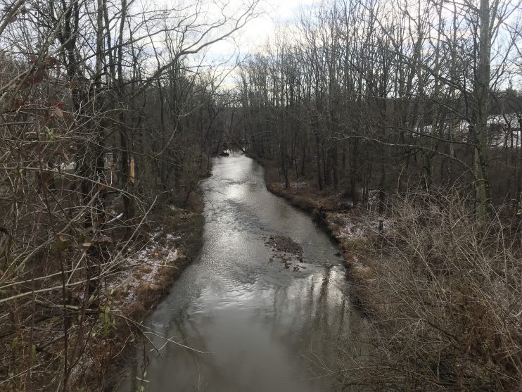 creek in winter
