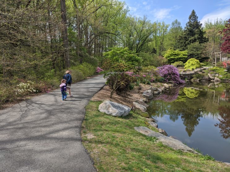 Two children walking on a path at a nature center 