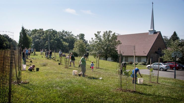 Photo of planting outside of a church