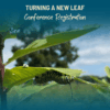 TaNL Registration
