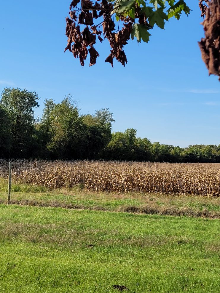 Beltsville Agricultural Research Center - Paint Branch Riparian Buffer