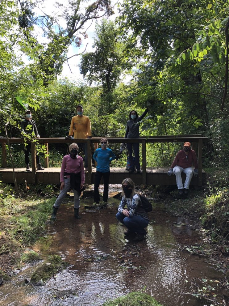 Honey Hollow Stream Buffer Project