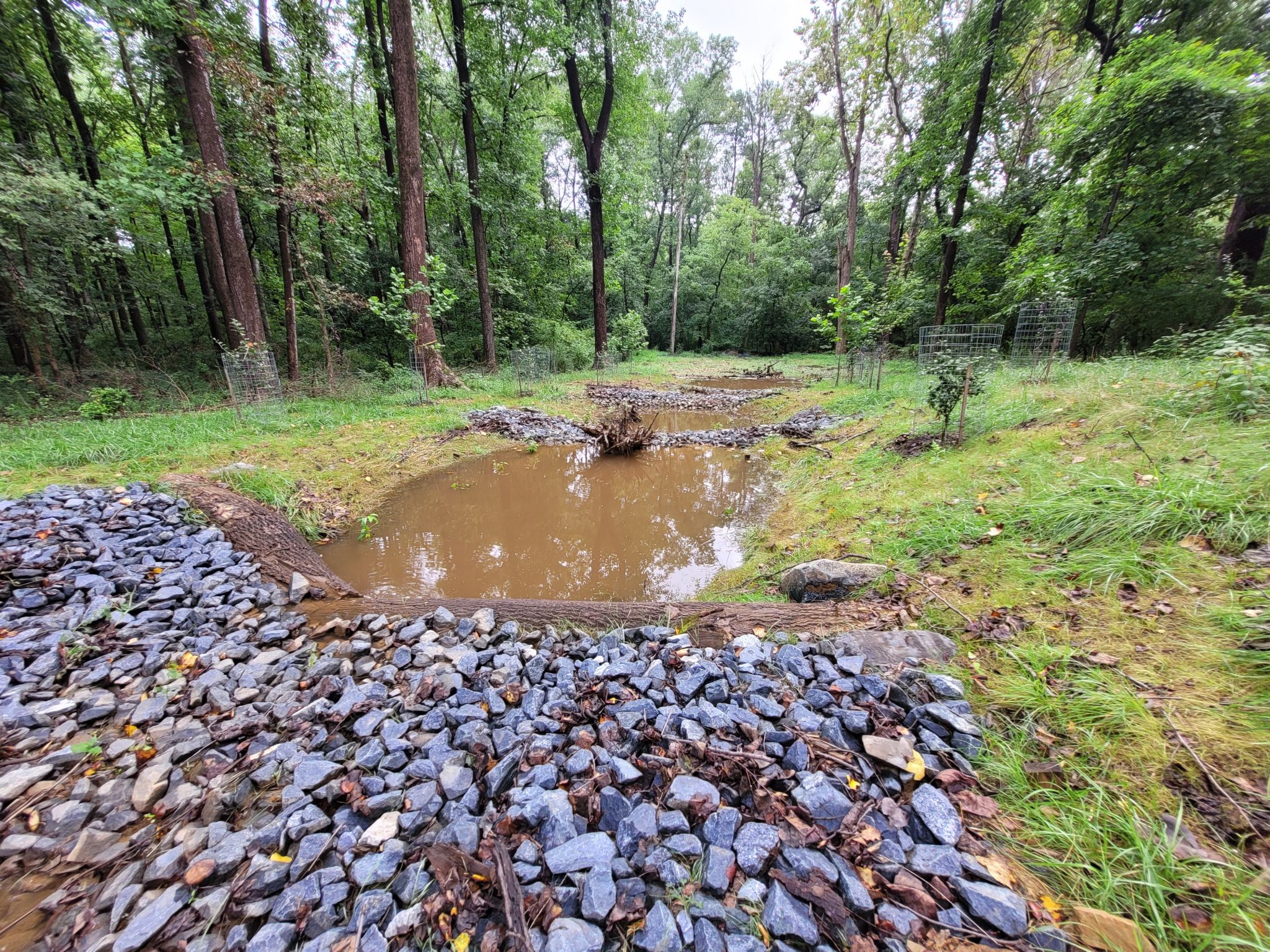 Stream and Trail Restoration at Woodend Nature Sanctuary Chesapeake