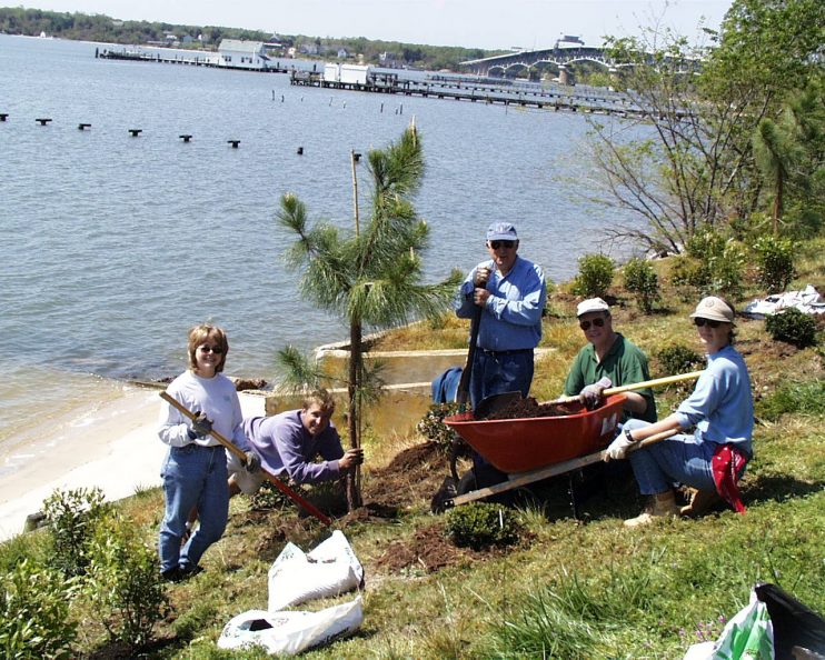 VIMS Riparian Buffer Restoration