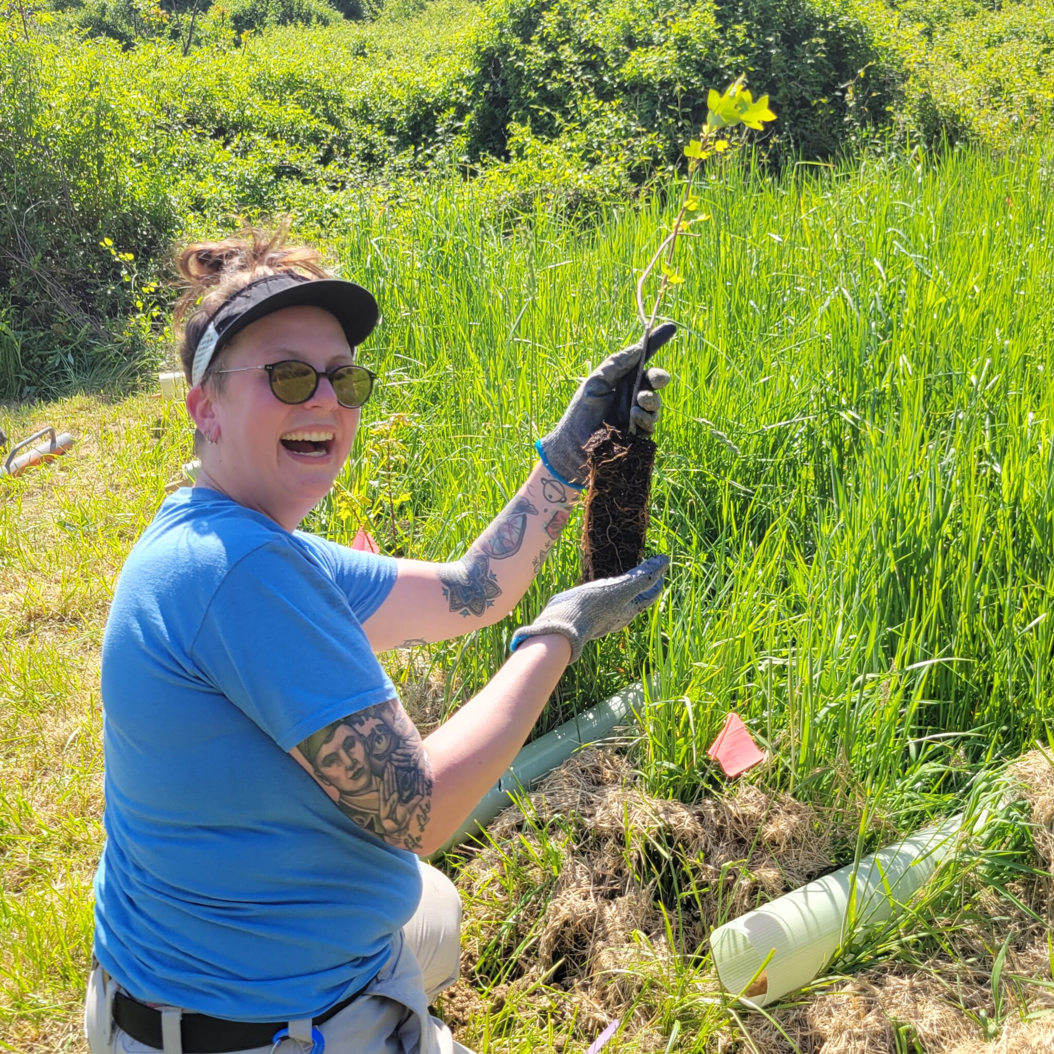 Keystone Conservation Project Keystone 10 Million Trees Partnership - Chesapeake Conservation ...