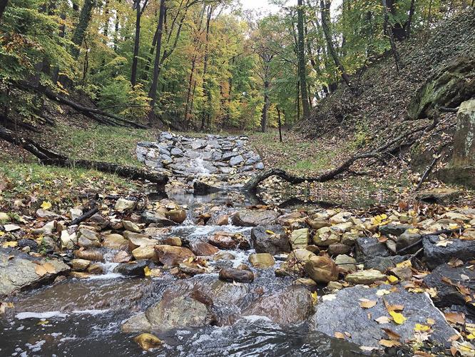 Alger Park Stream Restoration