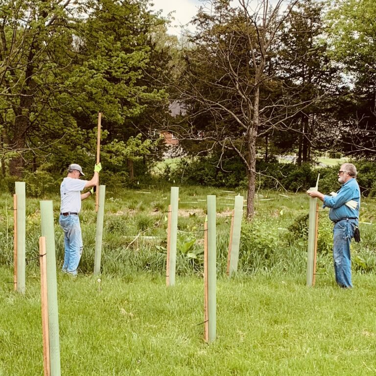 Keystone Conservation Project Keystone 10 Million Trees Partnership - Chesapeake Conservation ...