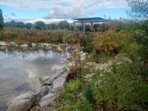 Penn State Arboretum Field Day