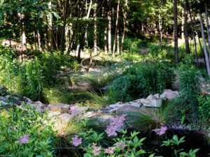 Field day at The Bower: Native Plant Landscape and Sculpture Park - Image 2