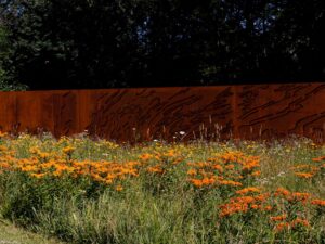 Field day at The Bower: Native Plant Landscape and Sculpture Park