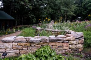 Field day at The Bower: Native Plant Landscape and Sculpture Park - Image 3