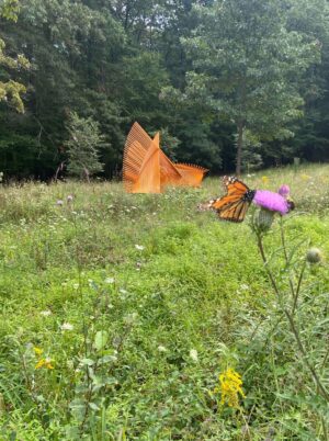Field day at The Bower: Native Plant Landscape and Sculpture Park - Image 4