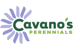 Cavanos-Logo
