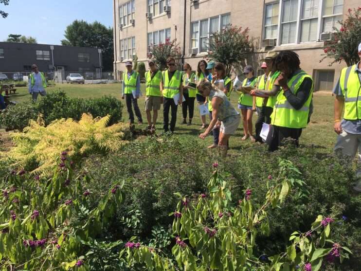 Planting It Forward With “Scotty Scholars”