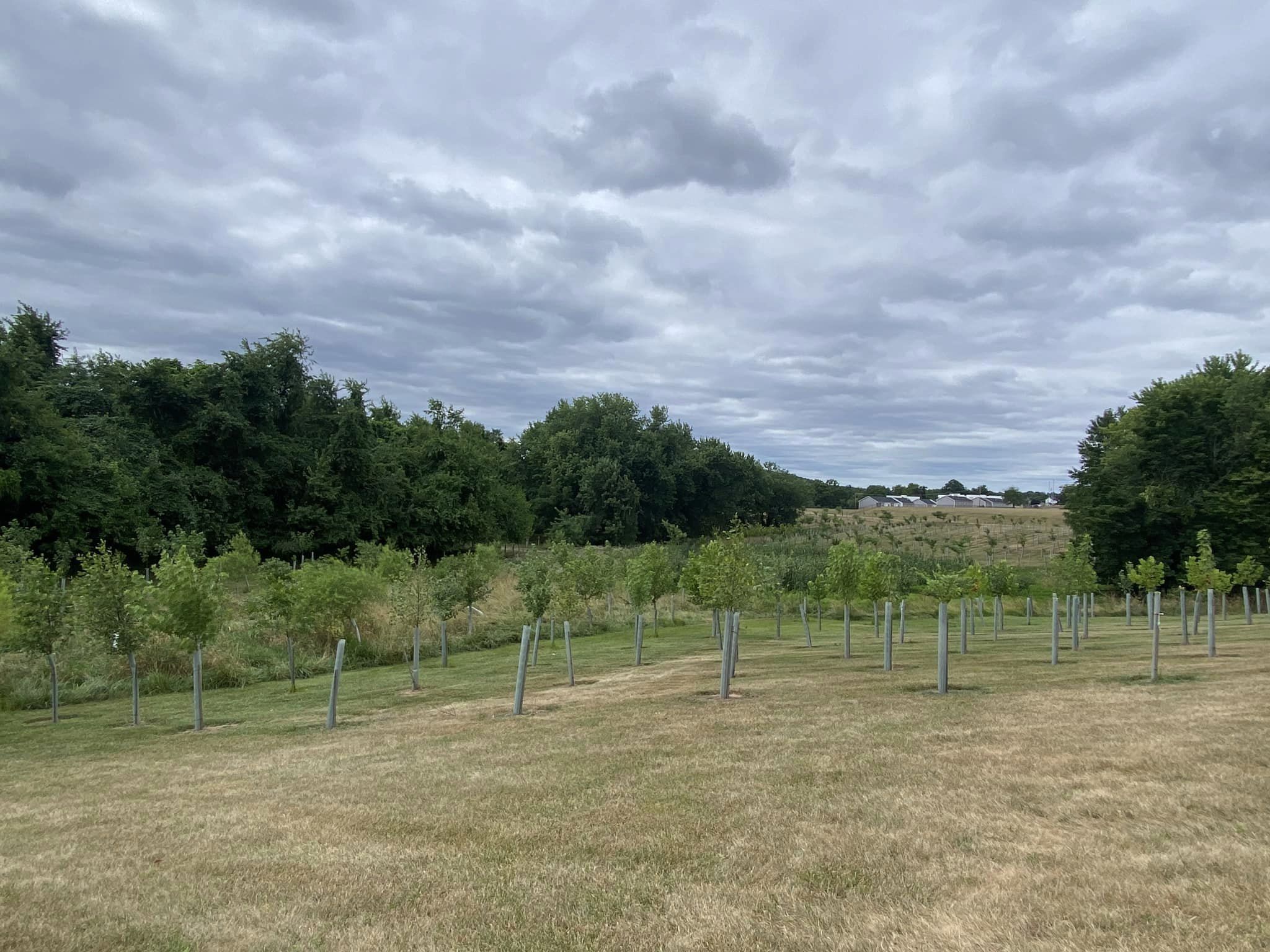 Fall Buffer Field Tour in Manchester, PA