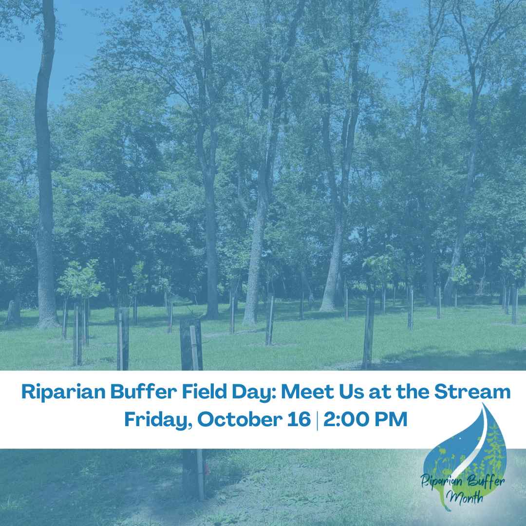 Riparian Buffer Field Day: Meet Us at the Stream