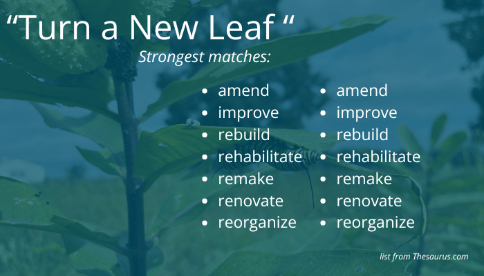 Synonyms of Turning a New Leaf