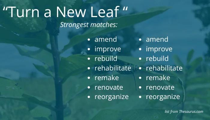 Synonyms of Turning a New Leaf