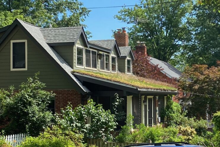 A Green house in a tree filled neighborhood with a green roof