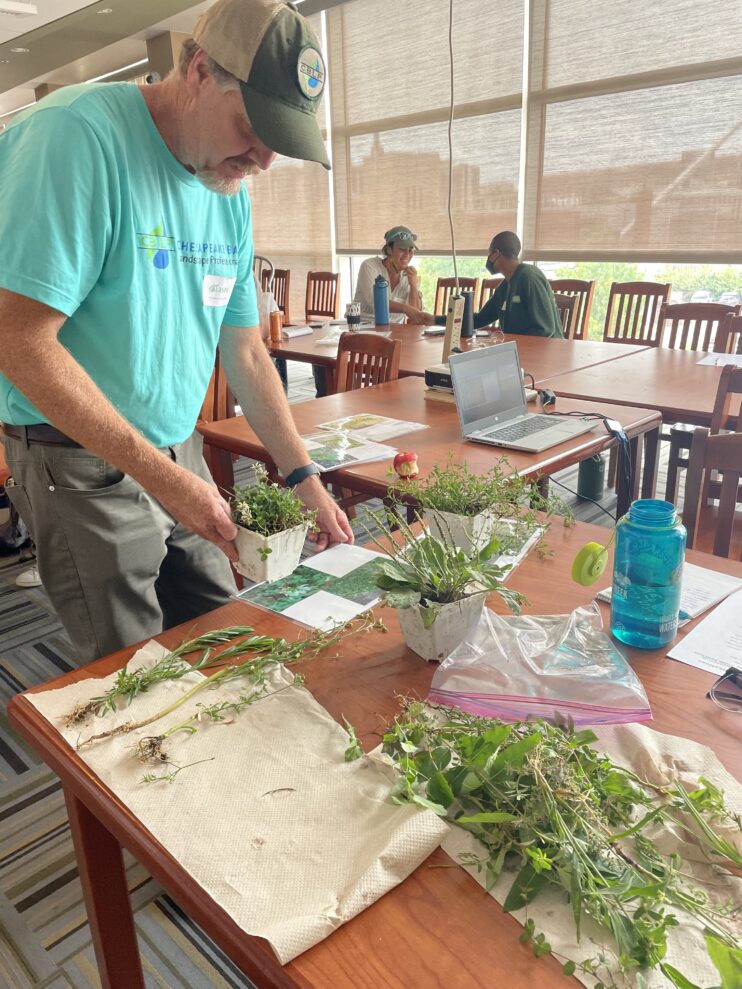 CBLP DC-MD-WV Coordinator, Jason Swope, a white man in a teal shirt and baseball cap, organizes plants on a wood table for a class