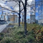 Urban green roof, green plants, bare trees and window filled buildings