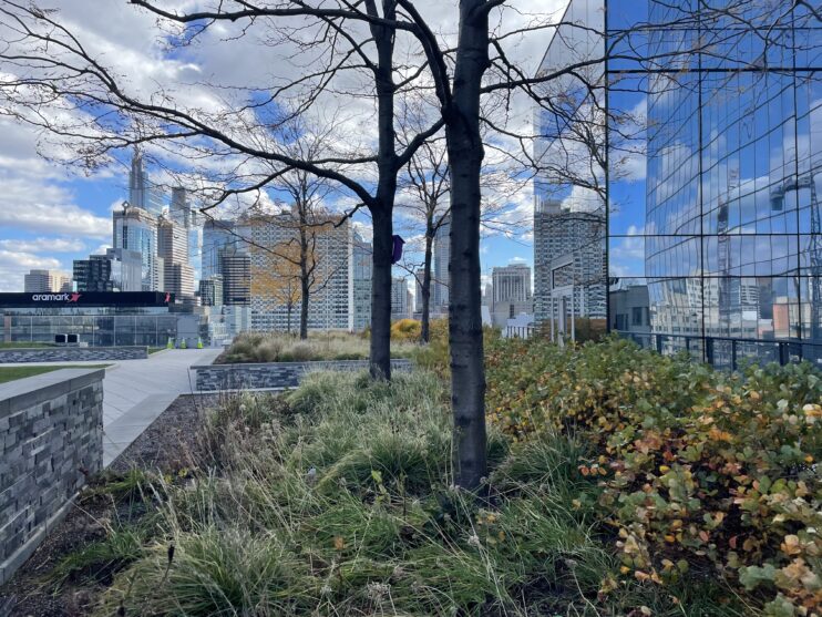 Urban green roof, green plants, bare trees and window filled buildings