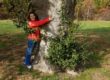 Kristen wearing a red jacket, jeans, and a big smile, hugging a tree and only being able to reach half way around