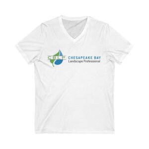 Unisex Jersey Short Sleeve V-Neck Tee