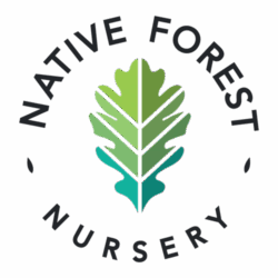 Transparent NFN Logo