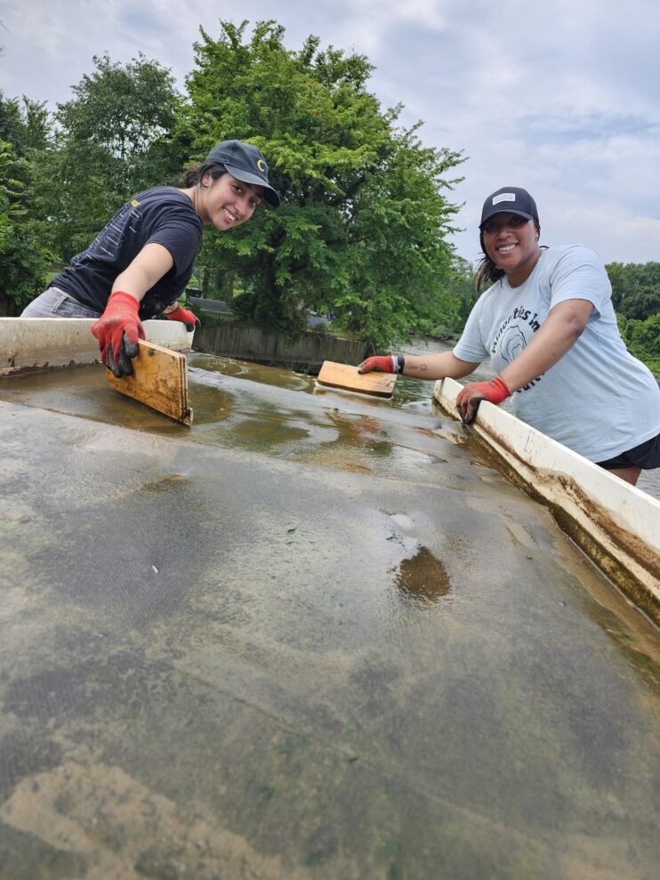 Two women smile as they lean over the algae-covered algal turf scrubber with wooden scrapers in their hands. They are wearing t-shirts and gloves. Green trees and a body of water are in the background.