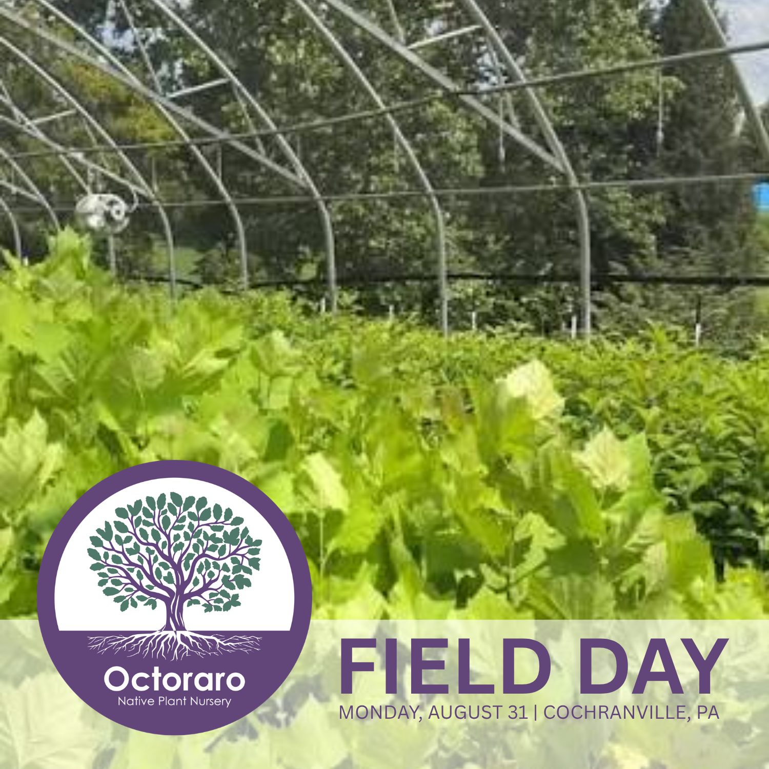 Behind the Scenes at Octoraro Native Plant Nursery
